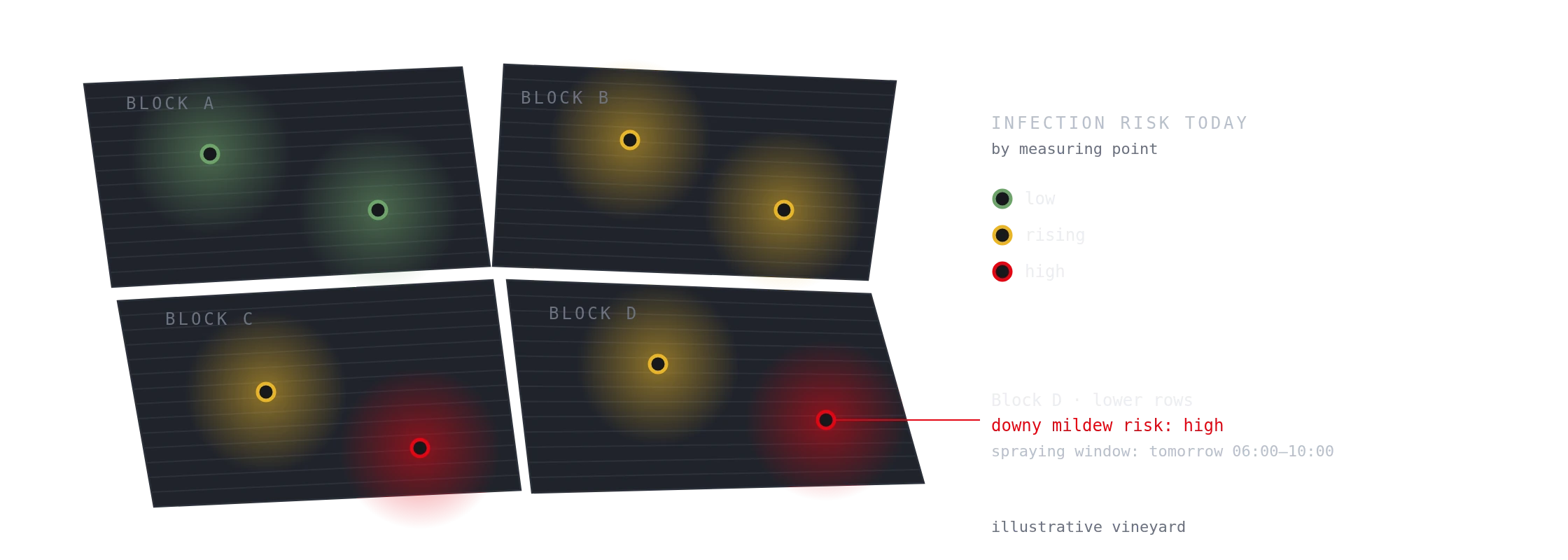 Illustrative top-down map of a vineyard in four blocks: each measuring point shows today’s infection risk as low, rising or high; one point in block D is high for downy mildew, with a spraying window tomorrow morning